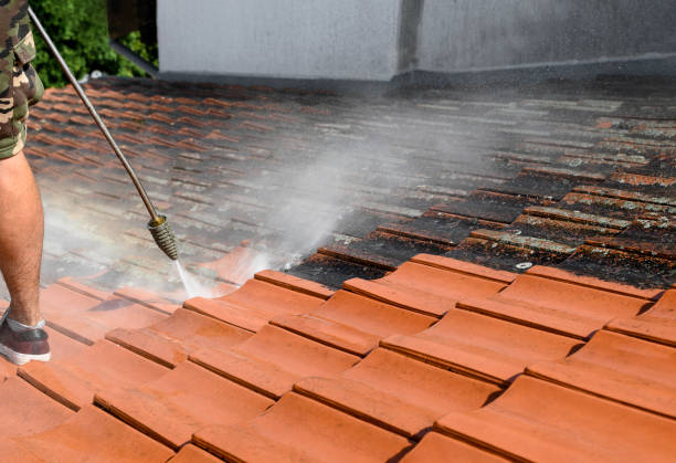 Best Affordable Power Washing  in Richmond, TX