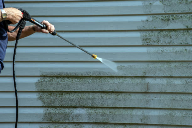 Best Pressure Washing Siding  in Richmond, TX